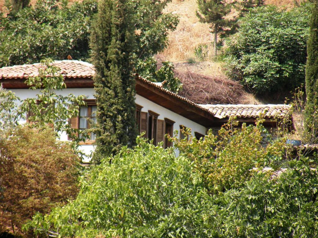 Terrace Houses Sirince 셀주크 객실 사진