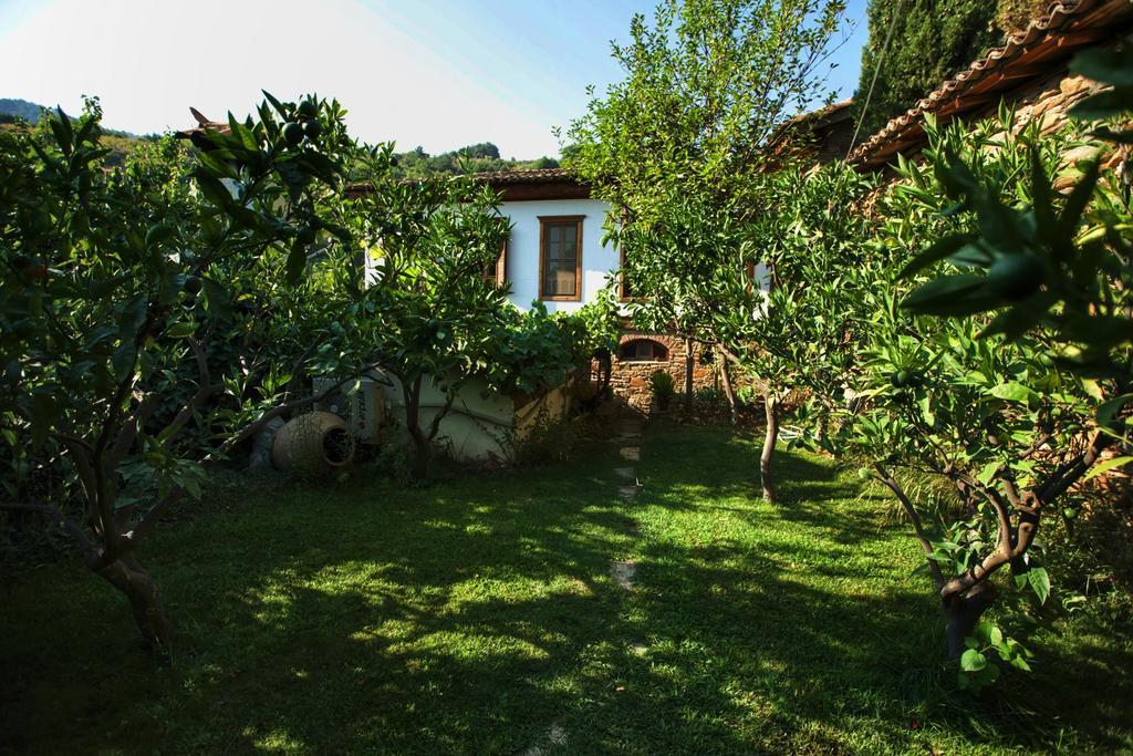 Terrace Houses Sirince 셀주크 외부 사진